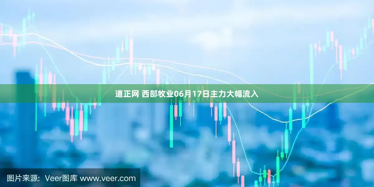 道正网 西部牧业06月17日主力大幅流入