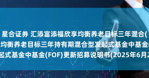 星合证券 汇添富添福欣享均衡养老目标三年混合(FOF: 汇添富添福欣享均衡养老目标三年持有期混合型发起式基金中基金(FOF)更新招募说明书(2025年6月20日更新)